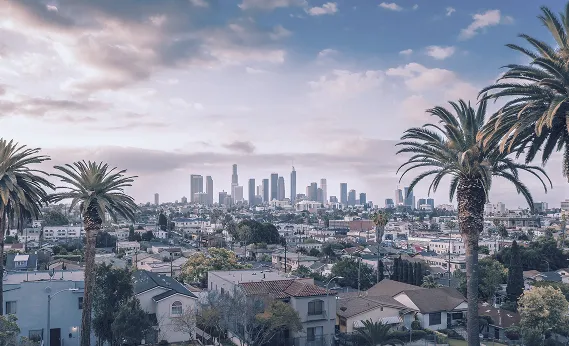 A panoramic view of a coastal city with palm trees in the foreground and a skyline in the distance.